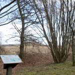 Lehrreich: ein Ausflug in den Schulwald Cramme / Beate Ziehres