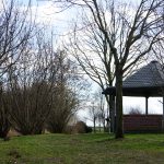Ein Pavillon als Schutz gegen Regen im Schulwald Cramme / Beate Ziehres