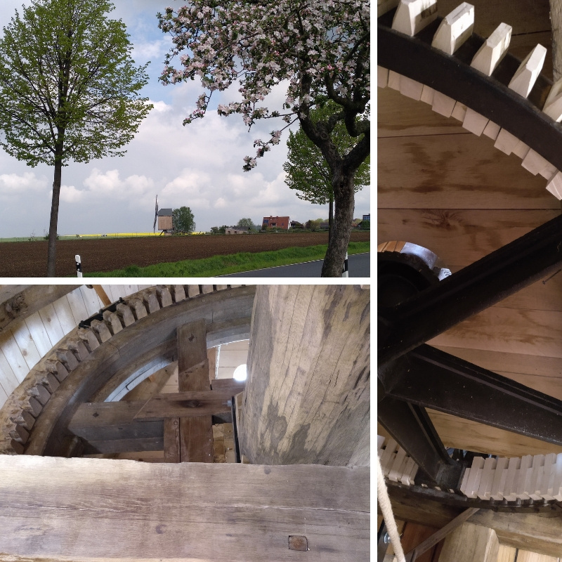 großes Mühlenrad saniert in gutem Zustand, und Bild mit Bockwindmühle in der Ferne, vorne Apfelblüte