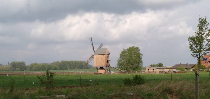 Windmühle auf Steinquadern und einem Eichenholz-Bock