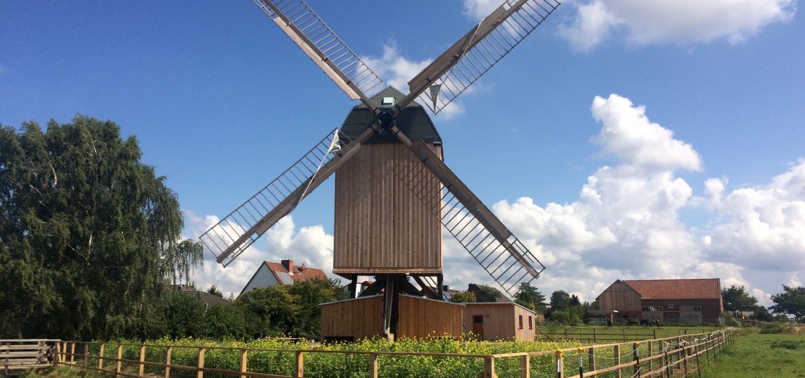 Nördliches Harzvorland, Windmühle Dettum: Die restaurierte Mühle erstrahlt an ihrem neuen Standort / Uwe Schäfer