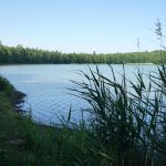 Nördliches Harzvorland: Reihersee Salzgitter-Gebhardshagen / Be