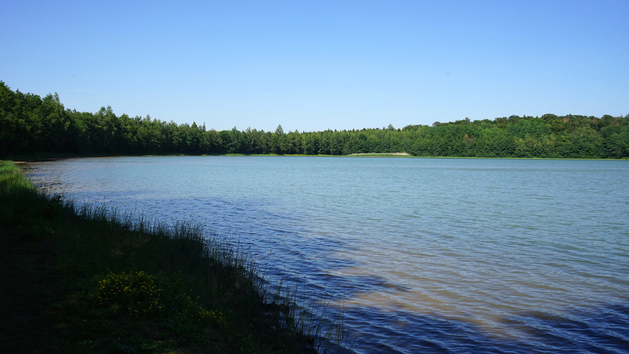 Nördliches Harzvorland: Der Reihersee / Beate Ziehres