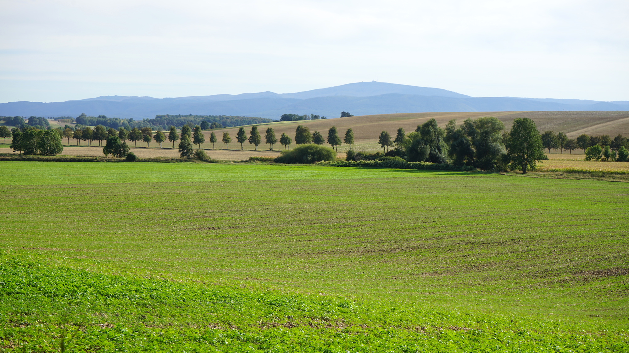 Nördliches Harzvorland: Blick zum Brocken auf dem Weg zur Stempelstation 25 / Beate Ziehres