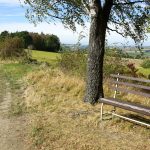 Bank mit Aussicht auf's Nördliche Harzvorland / Beate Ziehres