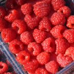 Himbeeren aus dem Nördlichen Harzvorland / Beate Ziehres