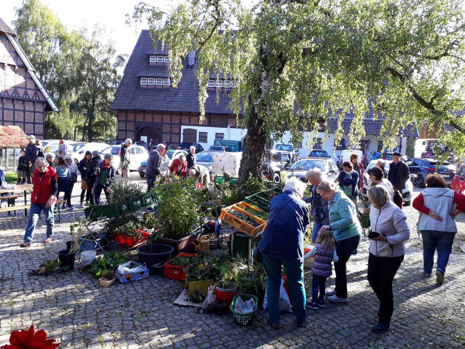 Nördliches Harzvorland: Staudenbörse der Landfrauen auf dem Birkenhof in Goslar / privat